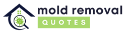 Mold Removal